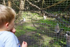 Sep 2014 - Lakeland Wildlife 