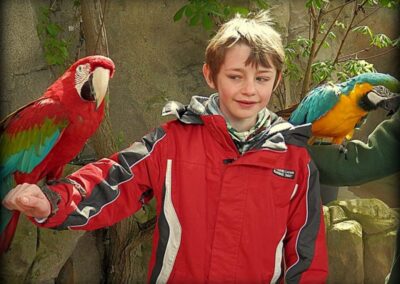 2014 Flamingoland